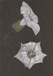 this is a sample of the artwork that will appear in the Brief Art 2010 Sale