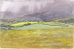 this is a sample of the artwork that will appear in the Brief Art 2010 Sale