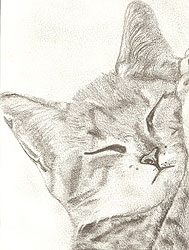 this is a sample of the artwork that will appear in the Brief Art 2010 Sale
