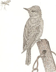 this is a sample of the artwork that will appear in the Brief Art 2010 Sale