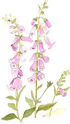this is a sample of the artwork that will appear in the Brief Art 2010 Sale